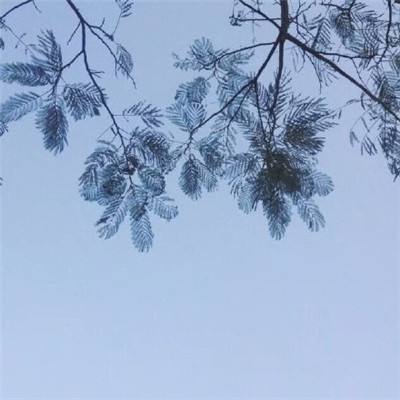 画堂春·落红铺径水平池